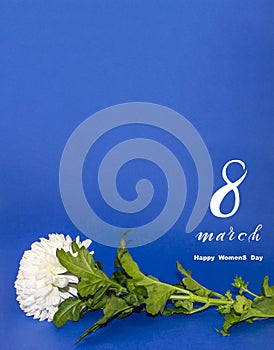 International Women`s Day March 8! Flat Lay, banner, greeting card with flowers from March 8