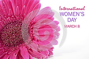 International Womens Day Pink Gerbera photo