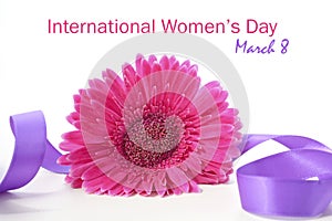 International Womens Day Pink Gerbera