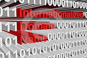 Internationalized domain name