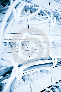 Internet cabels in patch panel