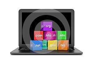 Internet Domain Names