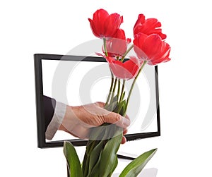 Internet Flowers Delivered