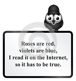 Internet Poem photo