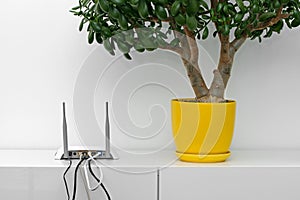 Internet router and flower pot on white shelf