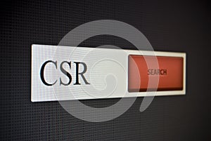 Internet search bar with phrase CSR