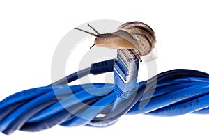 Internet Snail