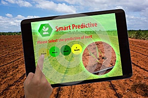 Internet of things agriculture concept,augmented reality,farmer use tablet and ar application to predictive the estimate of field