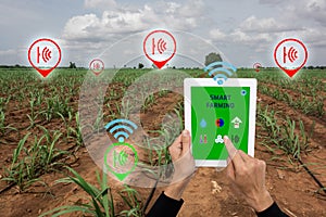 Internet of thingsagriculture concept,smart farming, smart agr