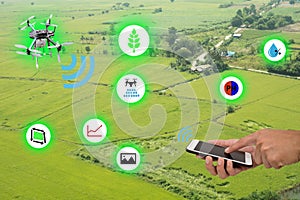 Internet of thingsindustrial agriculture and smart farming concept,farmer use mobile and application to monitor,control,manageme
