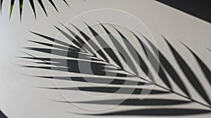 Interplay of light and shadow emphasizes the contrasts and textures