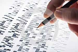 Interpreting DNA gel