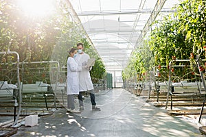 interracial agricultural technologists in medical masks