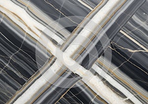 Intersecting Veins in Black Marble Texture
