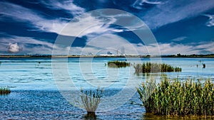 Interstate in Mobile and Alabama swamp landscape in summer