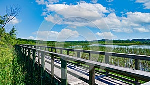Interstate in Mobile and Alabama swamp landscape in summer
