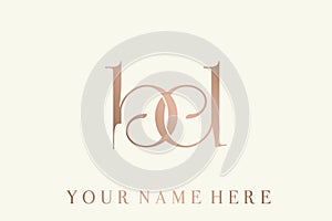Intertwined BD monogram. Lowercase serif letter b, letter d logo. Golden color.
