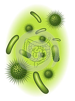 Intestinal bacterial flora