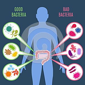 Intestinal flora gut health vector concept with bacteria and probiotics icons photo