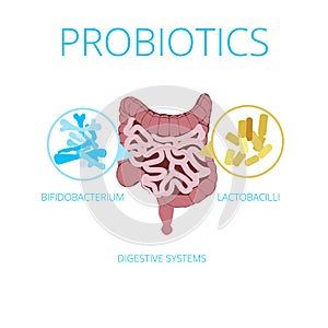 Intestinal flora vector concept with probiotics icons.