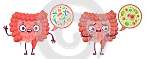 Intestinal microflora. Digestive system care, intestinal bacterias and probiotics cartoon vector illustration