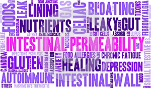 Intestinal Permeability Word Cloud