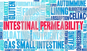 Intestinal Permeability Word Cloud photo