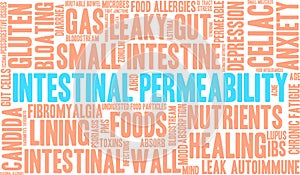 Intestinal Permeability Word Cloud photo