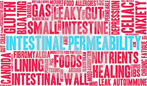 Intestinal Permeability Word Cloud photo