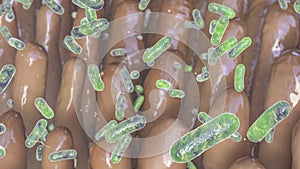 Intestinal villi with enteric bacteria photo
