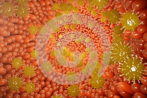 Intestinal villi, mucosa intestinal. Bacteria and microbes in intestines. Microscopic villi and capillary. Human