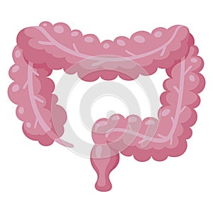 Intestine alimentary canal icon, anatomy and health