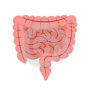 Intestine esophagus isolated on white background vector
