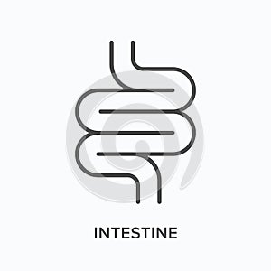 Intestine flat line icon. Vector outline illustration of gut. Black thin linear pictogram for internal gastrointestinal