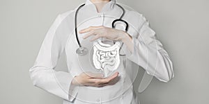 Gastroenterologist doctor, intestine specialist. Aesthetic handdrawn highlighted illustration of human intestine. Neutral grey photo