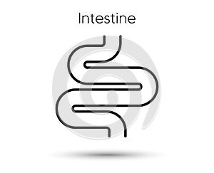 Intestine line icon. Digestion sign. Health bowel symbol. Colonoscopy gut procedure. Vector