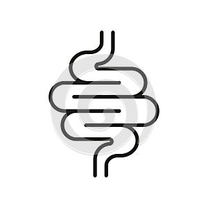Intestine Line Icon. Health Colon Linear Pictogram. Small Gut, Bowel Outline Icon. Healthy Human Digestive System