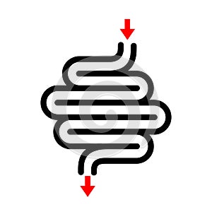 Intestine vector icon