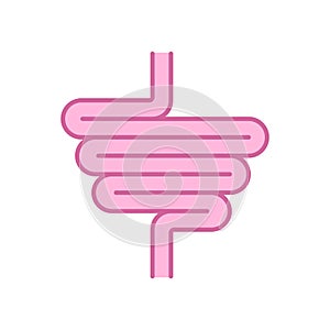 Intestines. digestive tract. Human gut. Vector illustration