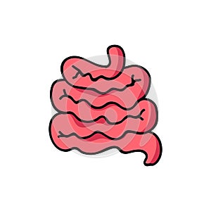 Intestines doodle icon, vector illustration