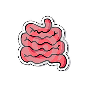 Intestines doodle icon, vector illustration