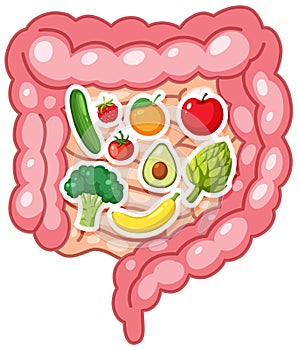 Intestines filled with fruits and vegetables
