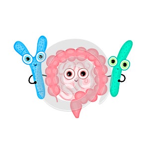 Intestines hugging with probiotics. Digestive tract. Large and small intestine. Bifidobacterium and lactobacillus