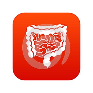 Intestines icon digital red