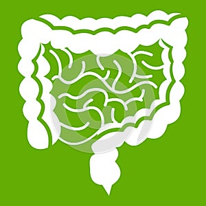 Intestines icon green