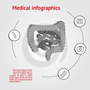 Intestines infographics template