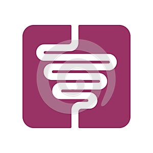 Intestines sign. digestive tract icon. Human gut symbol. Vector photo