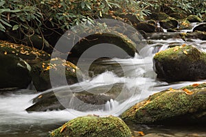 Intimate mountain landscape with water flowing over moss covered rocks with fall leaves, rhododendrons