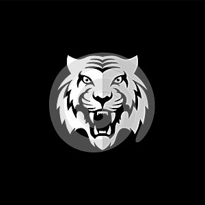 intimidating tiger front view theme logo template