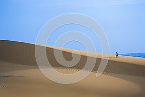 Intrepid Traveler on white sand dunes photo